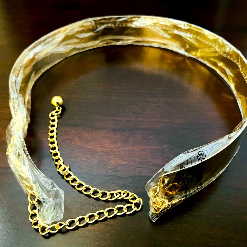 SHEIN metal golden waist belt